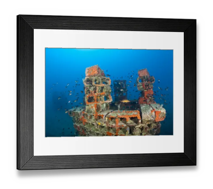 Framed Print : One of the deeper artificial reefs surraunded by Damselfish (Chromis chromis) with a Comber Framed Print : One of the deeper artificial reefs surraunded by Damselfish (Chromis chromis) with a Comber