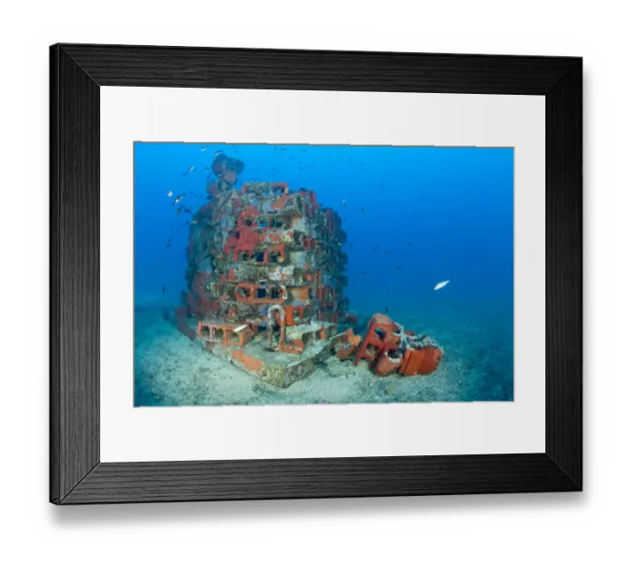 Framed Print : One of the deeper artificial reefs, Larvotto Marine Reserve, Monaco, Mediterranean Sea Framed Print : One of the deeper artificial reefs, Larvotto Marine Reserve, Monaco, Mediterranean Sea