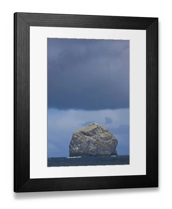 Framed Print : Stac Lee home to a Northern gannet (Morus bassanus) colony, St. Kilda Archipelago Framed Print : Stac Lee home to a Northern gannet (Morus bassanus) colony, St. Kilda Archipelago