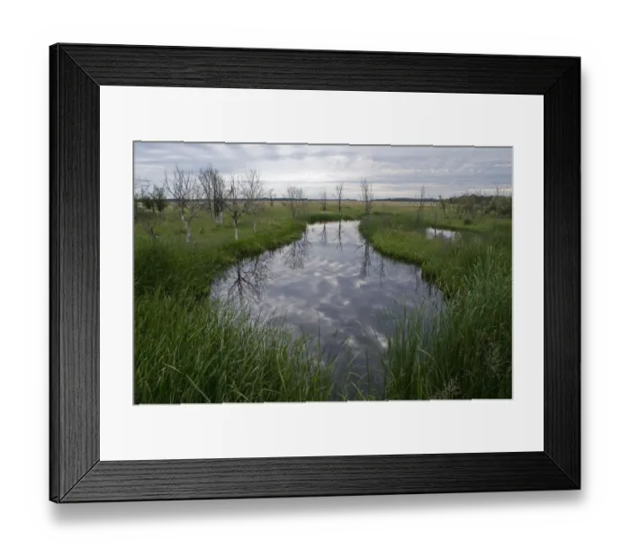 Framed Print : Saline pool of water, Hortobagy National Park, Hungary, June 2009 Framed Print : Saline pool of water, Hortobagy National Park, Hungary, June 2009