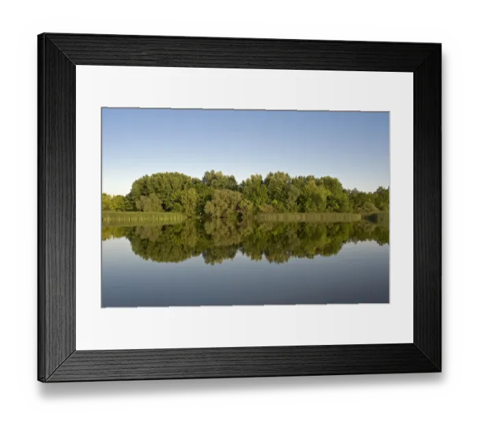 Framed Print : Lake Tisza with reflections in water, Hortobagy National Park, Hungary, May 2009 Framed Print : Lake Tisza with reflections in water, Hortobagy National Park, Hungary, May 2009