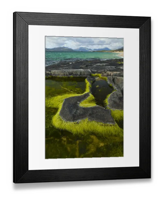 Framed Print : Algae growing in a pool on a rock, Scarista Beach, Sound of Taransay, South Harris Framed Print : Algae growing in a pool on a rock, Scarista Beach, Sound of Taransay, South Harris
