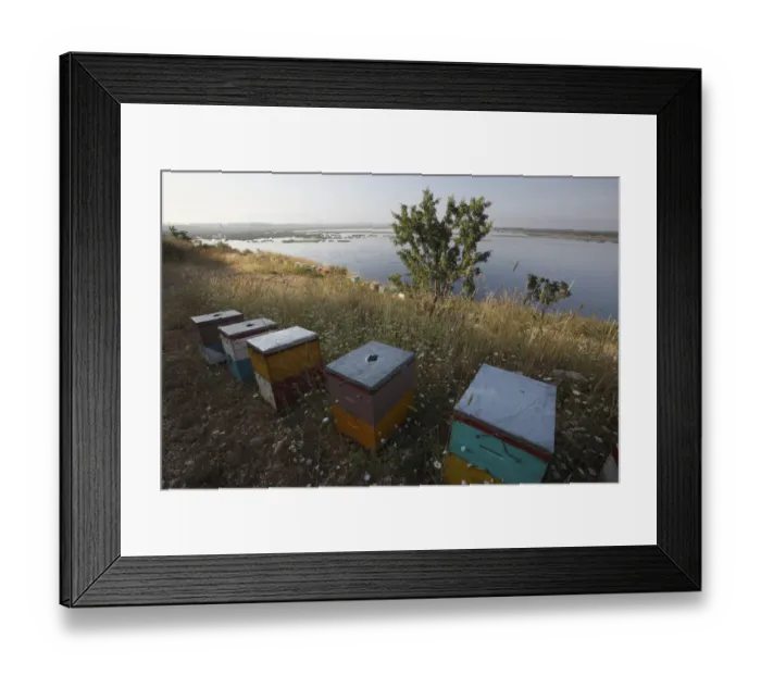 Framed Print : Bee hives on the edge of a lake near Patras, The Peloponnese, Greece, May 2009