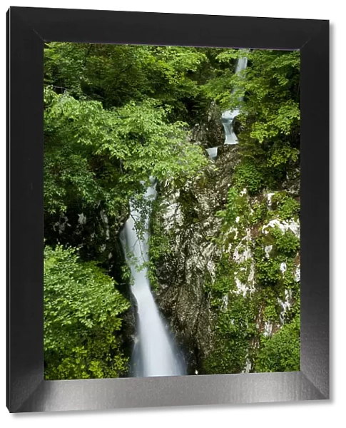 Waterfalls on the River Lepenjica, Triglav National Park, Slovenia, June 2009