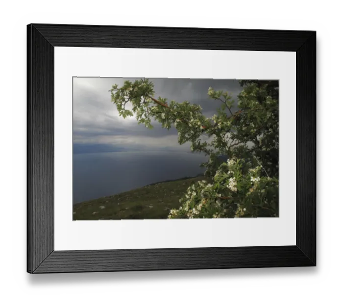 Framed Print : View from Mount Baba of Lake Ohrid, Galicica National Park, Macedonia, June 2009 Framed Print : View from Mount Baba of Lake Ohrid, Galicica National Park, Macedonia, June 2009