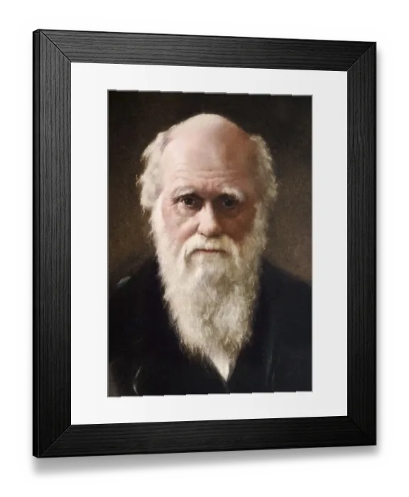 Framed Print : 1881 portrait of Charles Robert Darwin