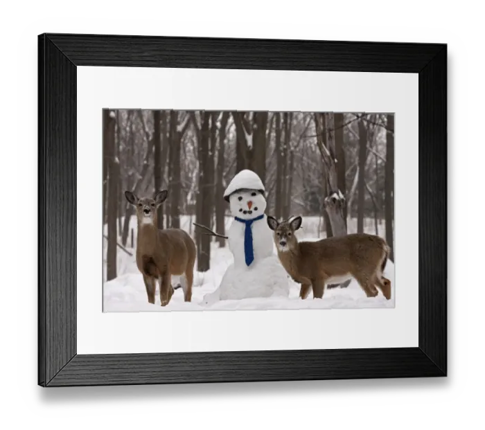Framed Print : White-tailed deer (Odocoileus virginianus) with snowman, New York, USA Framed Print : White-tailed deer (Odocoileus virginianus) with snowman, New York, USA