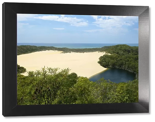 Lake Wabby among sand dunes and forest. Fraser Island UNESCO World Heritage Site
