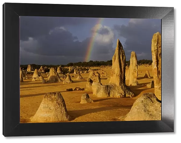 Rainbow over the Limestone formations in the Pinnacles desert, Nambung National Park