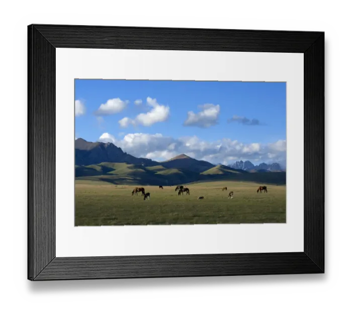 Framed Print : Song-Kul Lake horses and cattle grazing on their summer pasture, Karatal-Japyryk Framed Print : Song-Kul Lake horses and cattle grazing on their summer pasture, Karatal-Japyryk