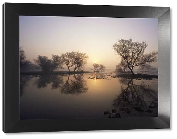 Sunrise over lake, Keoladeo Ghana  /  Bharatpur NP, Rajasthan, India