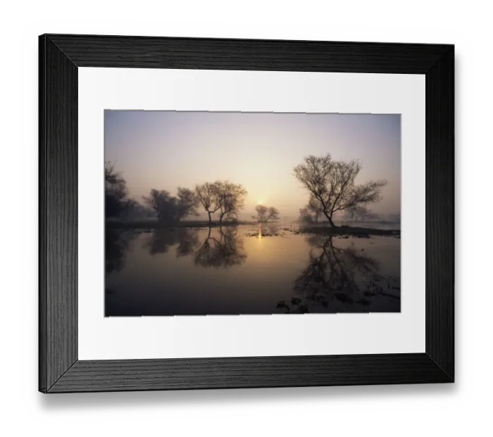 Framed Print : Sunrise over lake, Keoladeo Ghana / Bharatpur NP, Rajasthan, India Framed Print : Sunrise over lake, Keoladeo Ghana / Bharatpur NP, Rajasthan, India