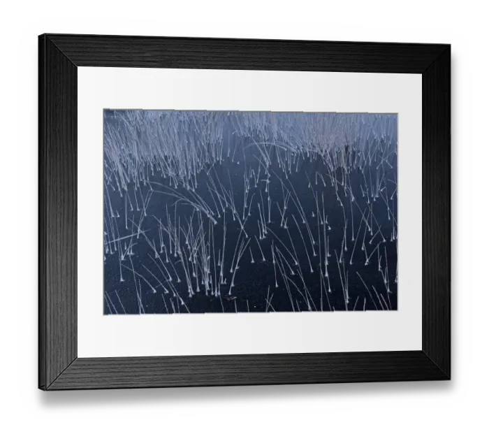 Framed Print : Abstract ice pattern, Klein Schietveld, Brasschaat, Belgium, January Framed Print : Abstract ice pattern, Klein Schietveld, Brasschaat, Belgium, January