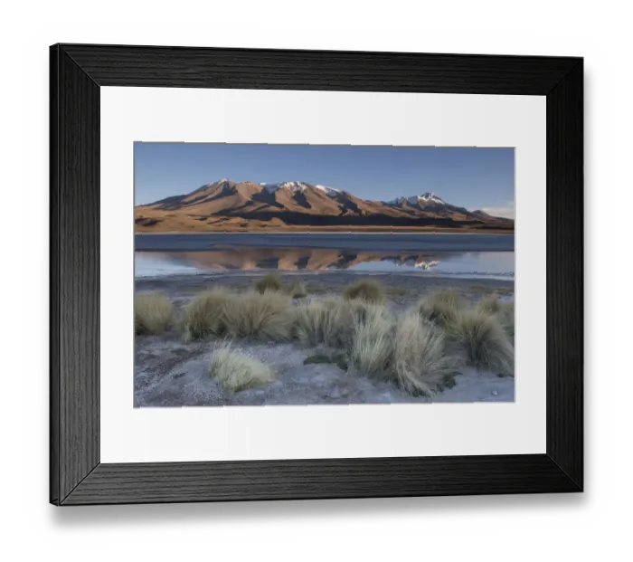 Framed Print : RF- Landscape of Laguna Hedionda, Altiplano, Bolivia, April 2017 Framed Print : RF- Landscape of Laguna Hedionda, Altiplano, Bolivia, April 2017