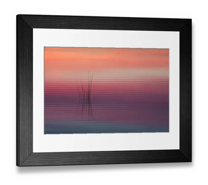Framed Print : Sunrise reflected in water with ripples, Klein Schietveld, Brasschaat, Belgium Framed Print : Sunrise reflected in water with ripples, Klein Schietveld, Brasschaat, Belgium