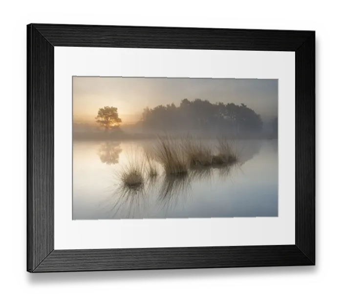 Framed Print : Wetland at sunrise, Klein Schietveld, Brasschaat, Belgium Framed Print : Wetland at sunrise, Klein Schietveld, Brasschaat, Belgium