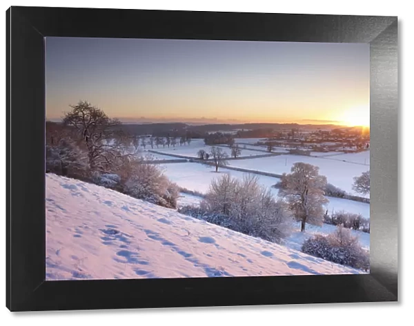 Frost and snow on the trees at sunset. East Hill overlooking Milborne Port, Somerset