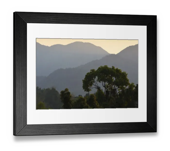 Framed Print : Rainforest in the morning at Tongbiguan Nature Reserve, Dehong prefecture, Yunnan province Framed Print : Rainforest in the morning at Tongbiguan Nature Reserve, Dehong prefecture, Yunnan province