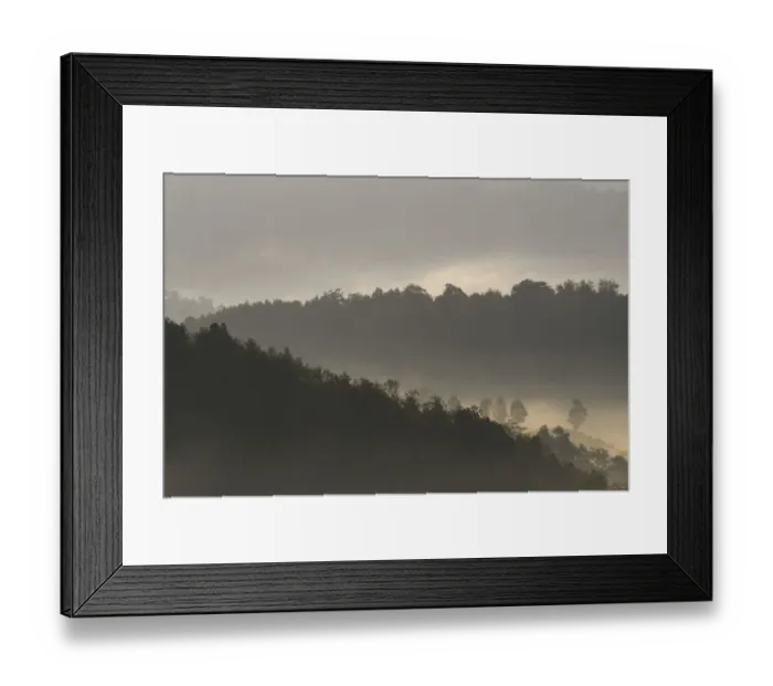 Framed Print : Morning fog  /  mist over forest, Tongbiguan Nature Reserve, Dehong prefecture, Yunnan province