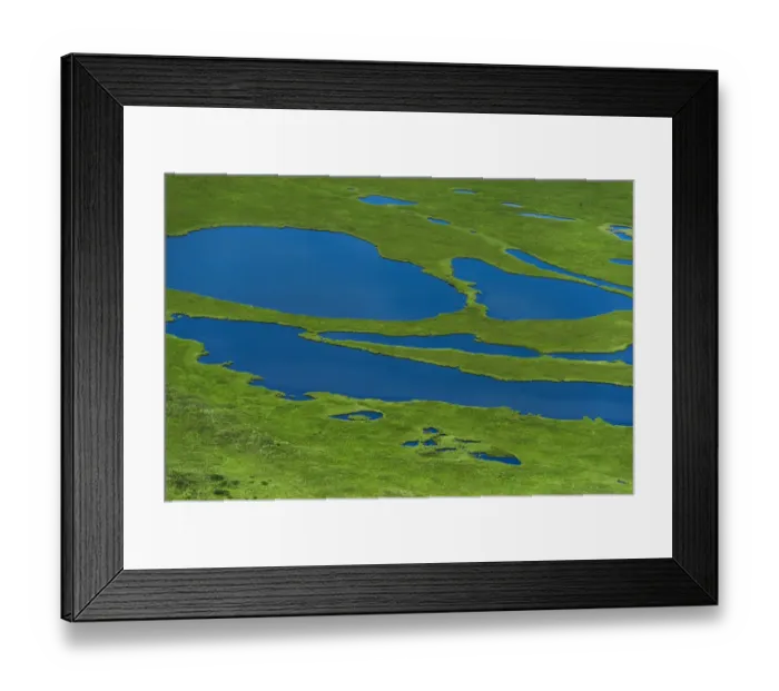 Framed Print : Aerial view of Pechora River Delta, Nenets Autonomous Okrug, Arctic, Russia, July 2017 Framed Print : Aerial view of Pechora River Delta, Nenets Autonomous Okrug, Arctic, Russia, July 2017