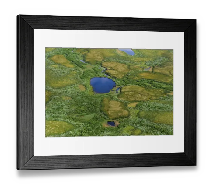Framed Print : Aerial view of Pechora River Delta, Nenets Autonomous Okrug, Arctic, Russia, July 2017 Framed Print : Aerial view of Pechora River Delta, Nenets Autonomous Okrug, Arctic, Russia, July 2017