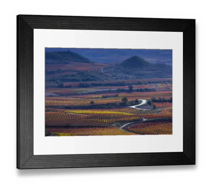 Framed Print : Vineyards in autumn, La Rioja, Sierra De Cantabria, Alava, Basque Country, Spain