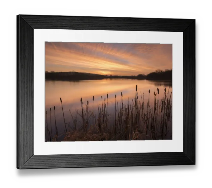 Framed Print : Lower Tamar Lakes, reflections and rushes, colurful winter sunrise, North Cornwall, UK Framed Print : Lower Tamar Lakes, reflections and rushes, colurful winter sunrise, North Cornwall, UK