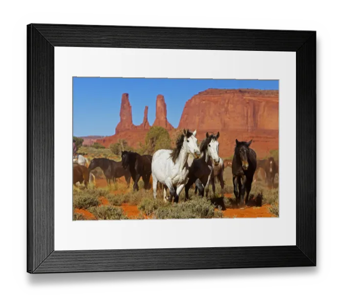 Framed Print : Wild horses, Monument valley tribal park, Navajo reserve, Utah, USA. April Framed Print : Wild horses, Monument valley tribal park, Navajo reserve, Utah, USA. April