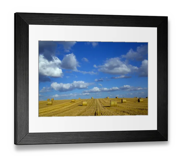 Framed Print : RF - Straw stubble and bales after harvest, Northrepps Village, Norfolk, England, UK Framed Print : RF - Straw stubble and bales after harvest, Northrepps Village, Norfolk, England, UK