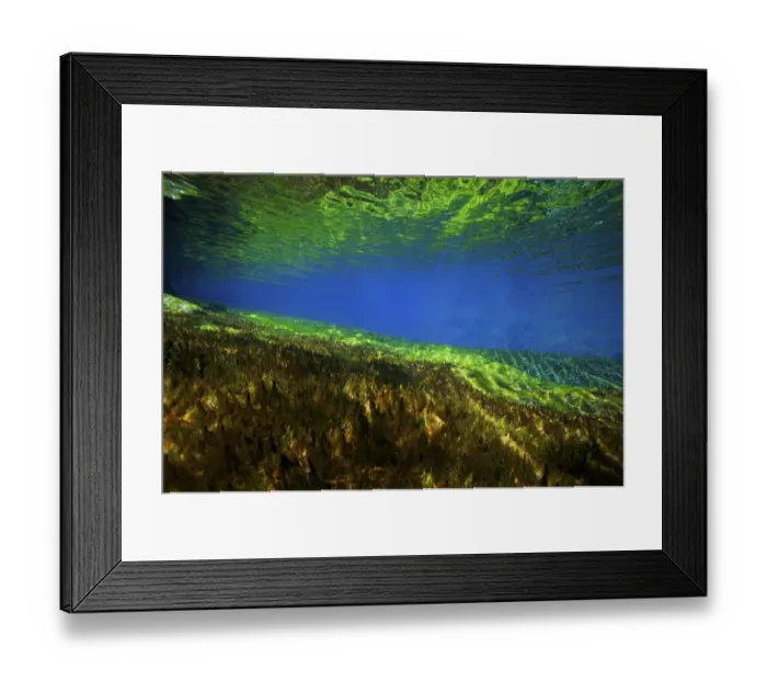 Framed Print : Rangimairewhenua or Blue Lake, sacred to the Maori, Nelson Lakes National Park, South Island Framed Print : Rangimairewhenua or Blue Lake, sacred to the Maori, Nelson Lakes National Park, South Island