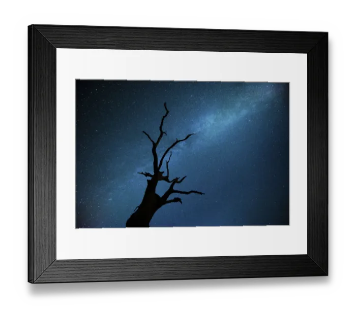 Framed Print : Milky way over Oak tree (Quercus robur) Brecon Beacons National Park, International Framed Print : Milky way over Oak tree (Quercus robur) Brecon Beacons National Park, International