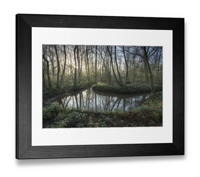 Framed Print : Meander in small rivulet, Groot Schietveld, Wuustwezel, Belgium, April 2017