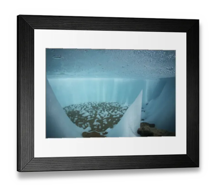 Framed Print : Underwater in a cryoconite hole, a hole formed by windblown dust and particles which Framed Print : Underwater in a cryoconite hole, a hole formed by windblown dust and particles which