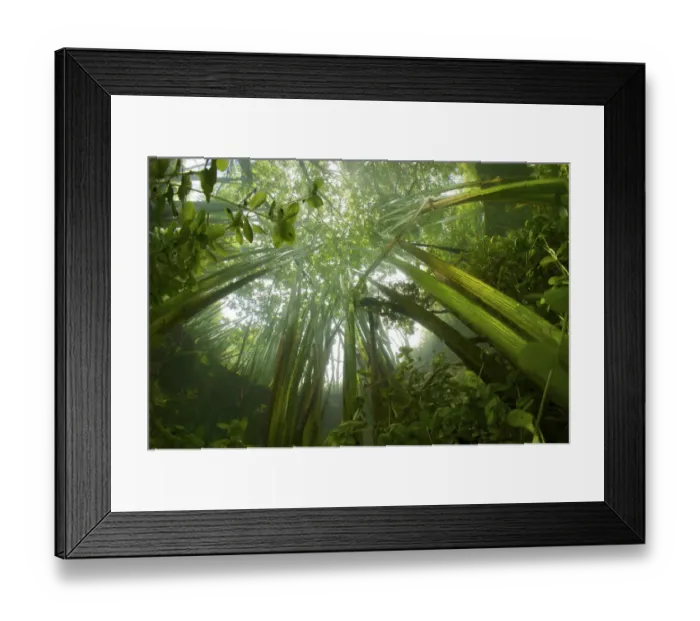 Framed Print : Candover Brook, tributary of the River Itchen, chalk stream Hampshire, England, UK Framed Print : Candover Brook, tributary of the River Itchen, chalk stream Hampshire, England, UK