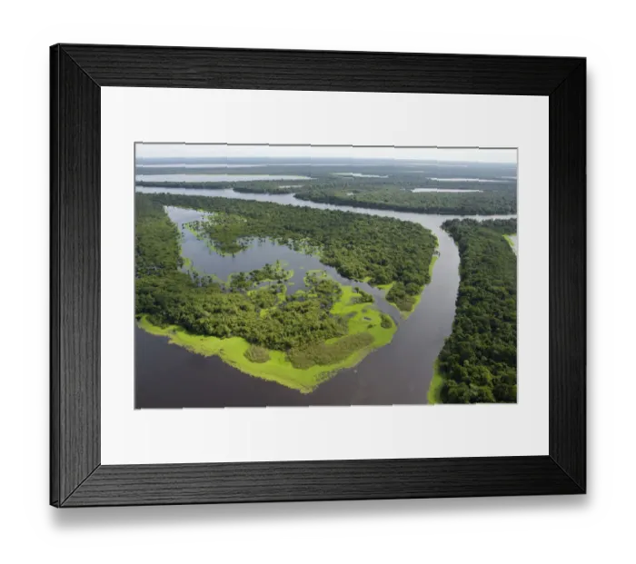 Framed Print : Aerial view of flooded forests, Anavilhanas Archipelago, Anavilhanas National Park Framed Print : Aerial view of flooded forests, Anavilhanas Archipelago, Anavilhanas National Park