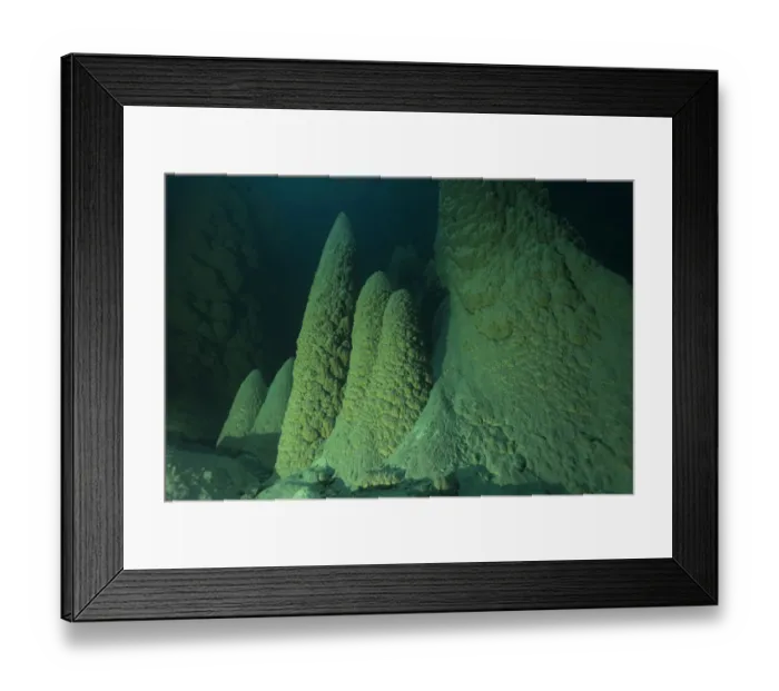Framed Print : Anhumas Abyss, a 72 meters deep cave with underwater limestone cones up to 20 meters high Framed Print : Anhumas Abyss, a 72 meters deep cave with underwater limestone cones up to 20 meters high