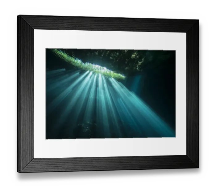 Framed Print : Sunrays in Cenote Jardin del Eden, Quintana Roo, Yucatan Peninsula, Mexico Framed Print : Sunrays in Cenote Jardin del Eden, Quintana Roo, Yucatan Peninsula, Mexico