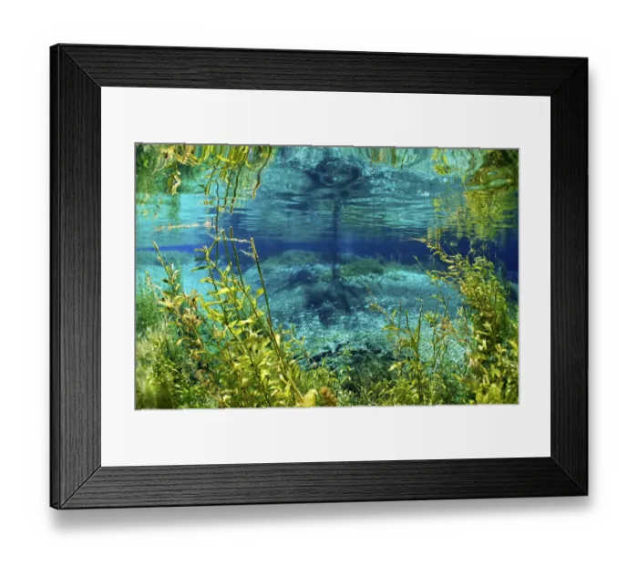 Framed Print : Rainbow river, Rainbow Springs State Park, Florida, USA Framed Print : Rainbow river, Rainbow Springs State Park, Florida, USA
