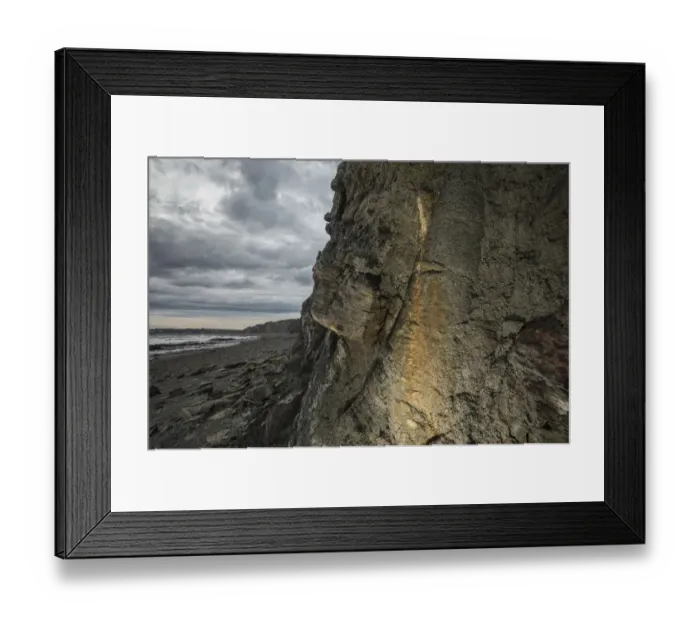Framed Print : Tree-like lycopodiophyte (Sigillaria) preserved in situ at Joggins Fossil Cliffs Framed Print : Tree-like lycopodiophyte (Sigillaria) preserved in situ at Joggins Fossil Cliffs