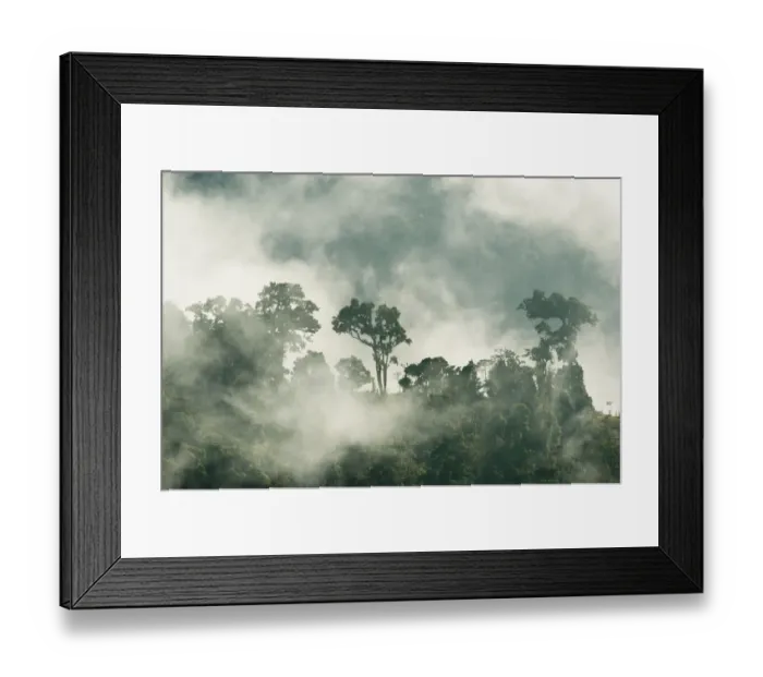 Framed Print : Cloud forest of the Talamanca Range, Talamanca Range-La Amistad Reserves / La Amistad Framed Print : Cloud forest of the Talamanca Range, Talamanca Range-La Amistad Reserves / La Amistad