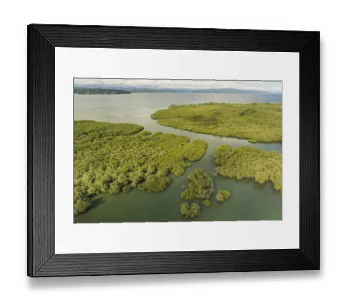 Framed Print : Aerial view of Mangrove forest, Osa Peninsula, Costa Rica, May 2017 Framed Print : Aerial view of Mangrove forest, Osa Peninsula, Costa Rica, May 2017