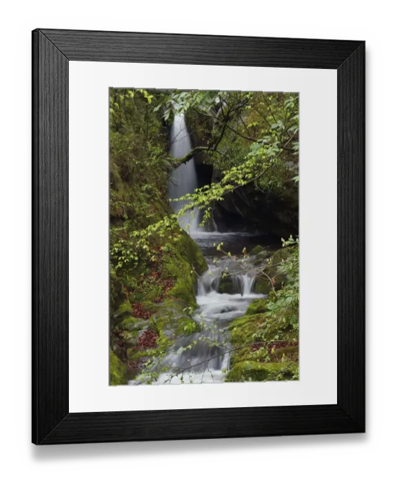 Framed Print : Waterfalls, Tangjiahe National Nature Reserve, Qingchuan County, Sichuan province, China Framed Print : Waterfalls, Tangjiahe National Nature Reserve, Qingchuan County, Sichuan province, China