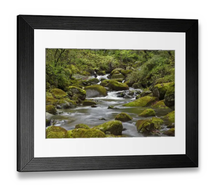 Framed Print : Small waterfalls, Tangjiahe National Nature Reserve, Qingchuan County, Sichuan province