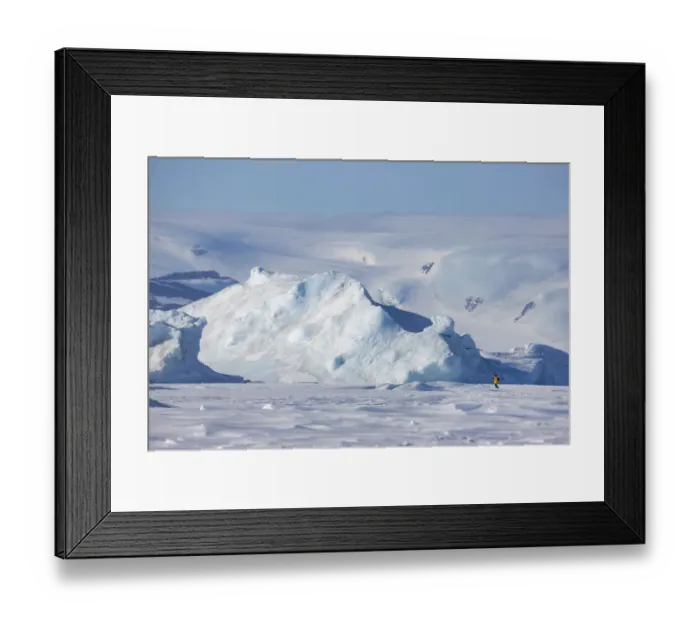 Framed Print : View of tourist walking near Emperor penguin colony at Snow Hill Island rookery, Weddell Sea Framed Print : View of tourist walking near Emperor penguin colony at Snow Hill Island rookery, Weddell Sea
