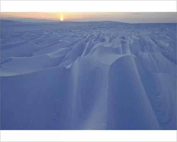 Wind sculpted snow drifts, Wrangel Island, Far Eastern Russia, March 2011