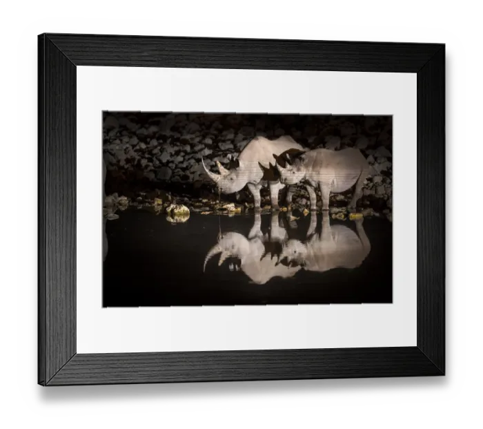 Framed Print : Black rhinoceros (Diceros bicornis) mother and calf having a drink at night with Framed Print : Black rhinoceros (Diceros bicornis) mother and calf having a drink at night with