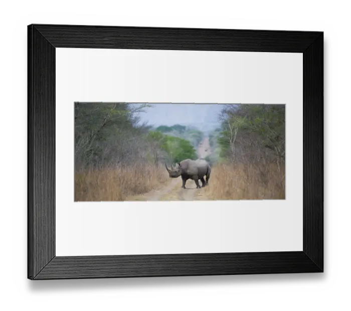 Framed Print : Black rhinoceros (Diceros bicornis) crossing a road, Phinda Private Game Reserve Framed Print : Black rhinoceros (Diceros bicornis) crossing a road, Phinda Private Game Reserve