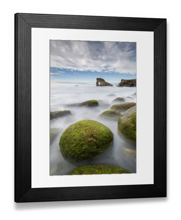 Framed Print : Seaweed covered rocks with Gaada Stack in background, Foula, Shetland, Scotland, UK