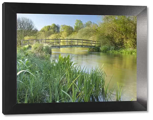 View of the River Itchen at Ovington, Hampshire, England, UK, May 2012