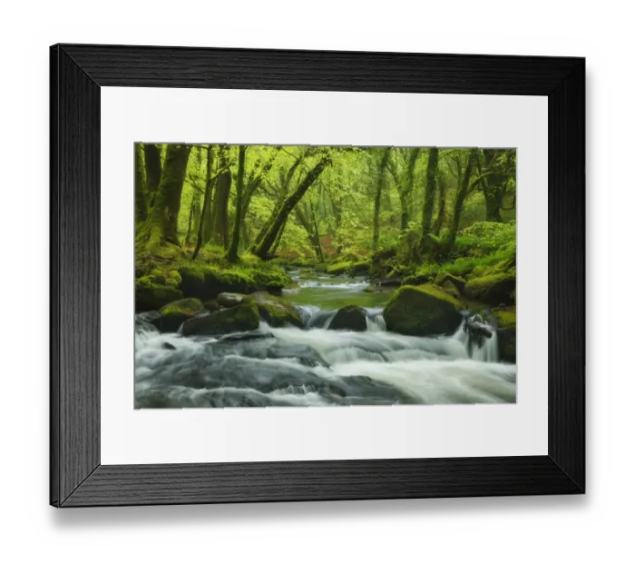 Framed Print : River Fowey flowing through Beech (Fagus sylvatica) woodland, Golitha Falls, Bodmin Moor Framed Print : River Fowey flowing through Beech (Fagus sylvatica) woodland, Golitha Falls, Bodmin Moor